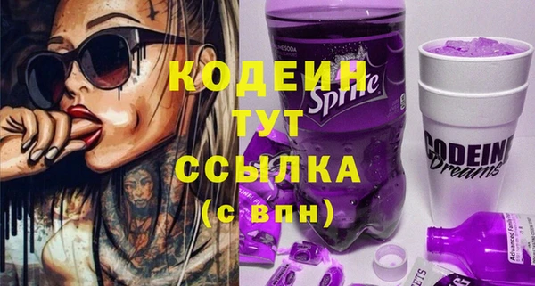 дживик Чердынь