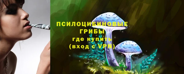 круглые Липки