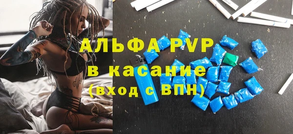 ПСИЛОЦИБИНОВЫЕ ГРИБЫ Чегем