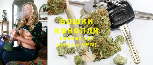 ПСИЛОЦИБИНОВЫЕ ГРИБЫ Чегем
