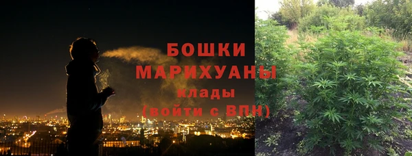 ПСИЛОЦИБИНОВЫЕ ГРИБЫ Чегем